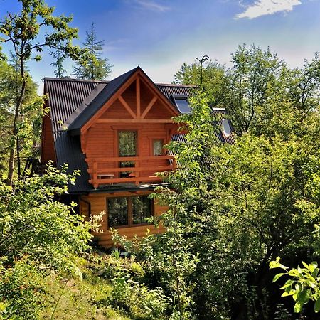 Domki Mroz Zakopane Dış mekan fotoğraf
