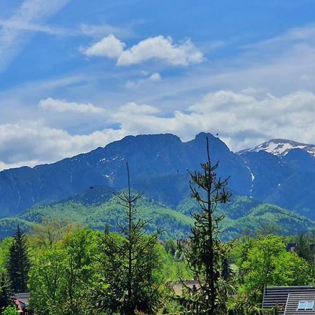 Domki Mroz Zakopane Dış mekan fotoğraf