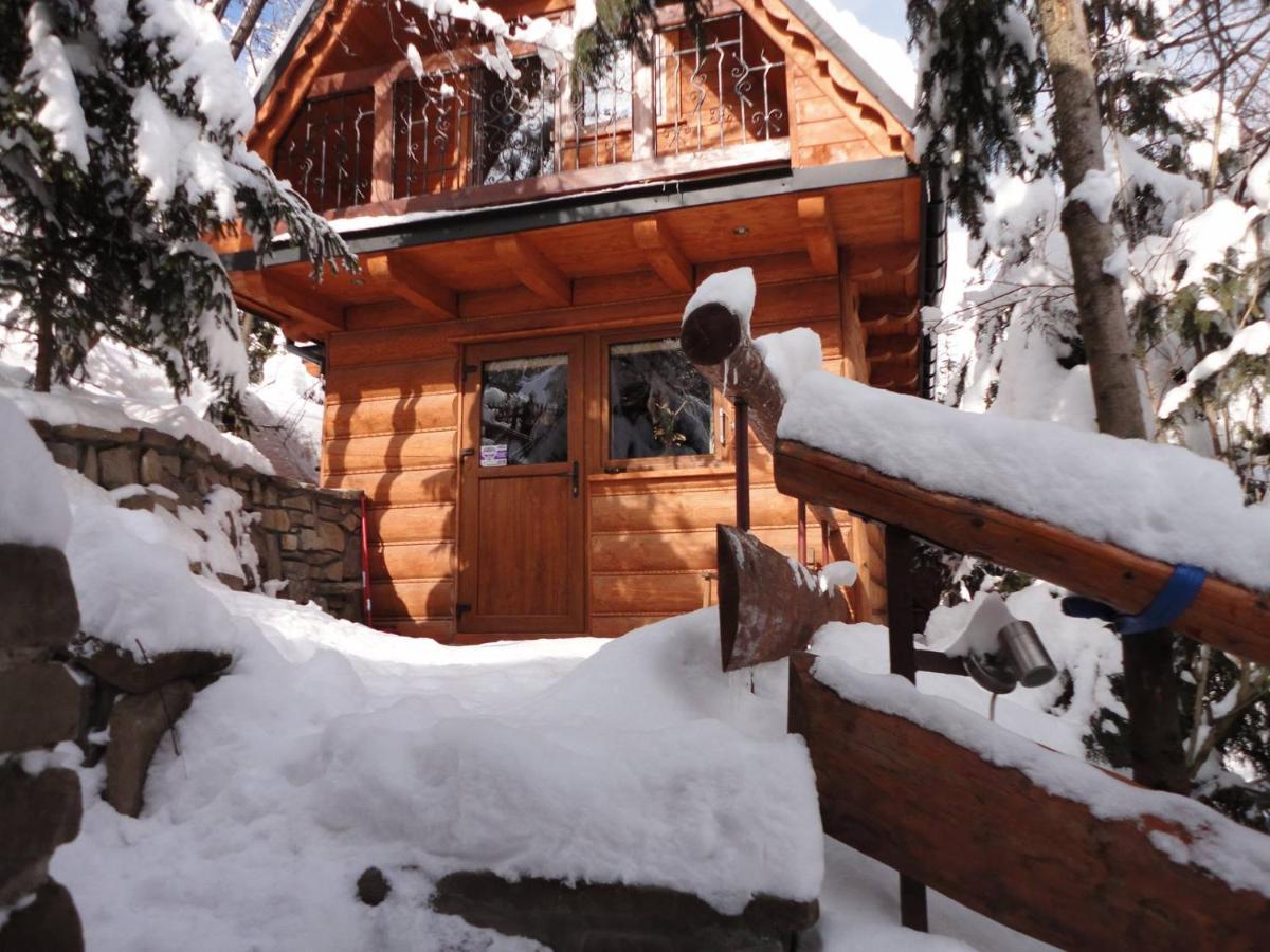 Domki Mroz Zakopane Dış mekan fotoğraf