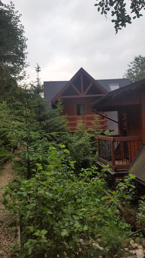 Domki Mroz Zakopane Dış mekan fotoğraf
