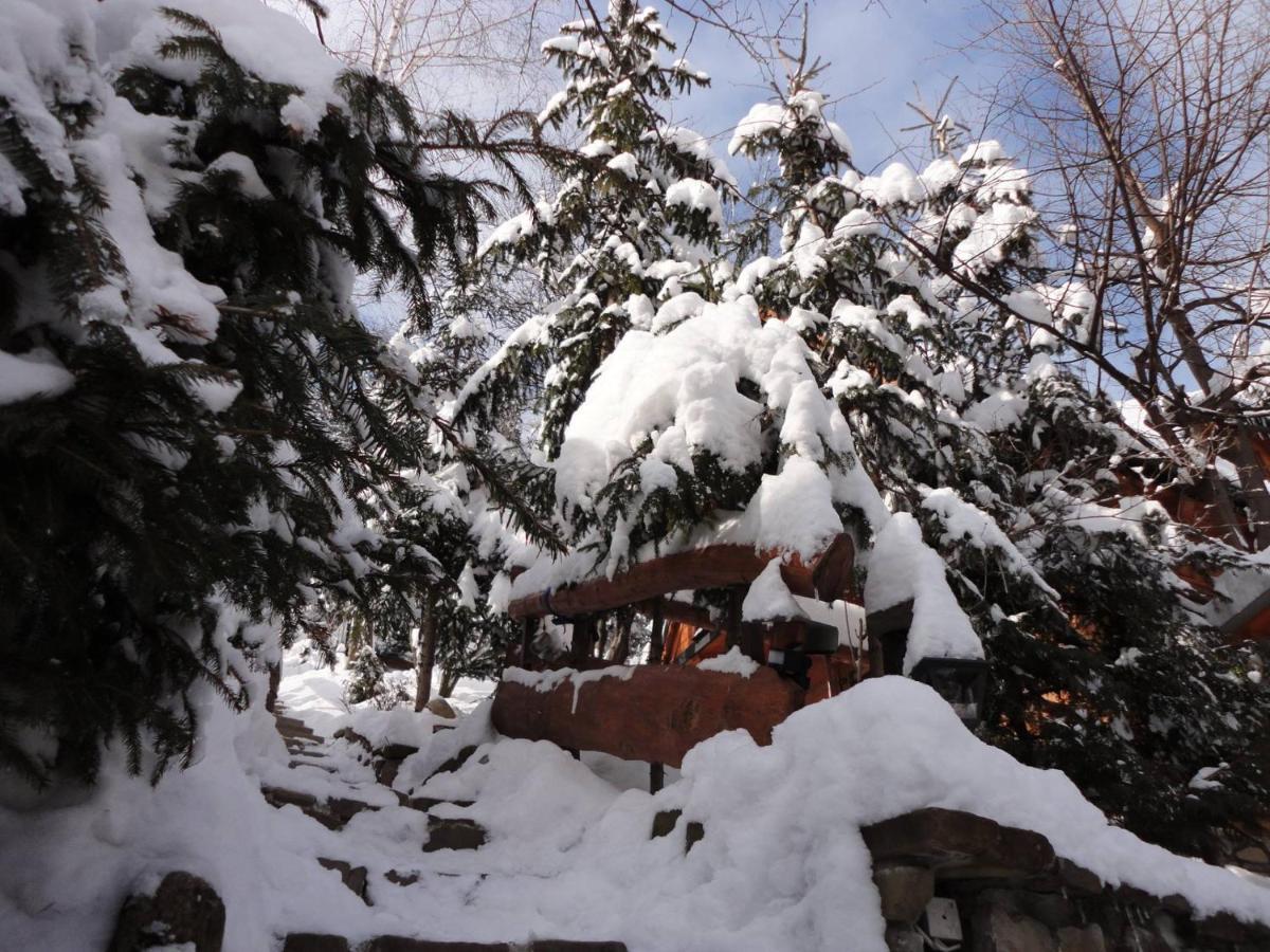Domki Mroz Zakopane Dış mekan fotoğraf