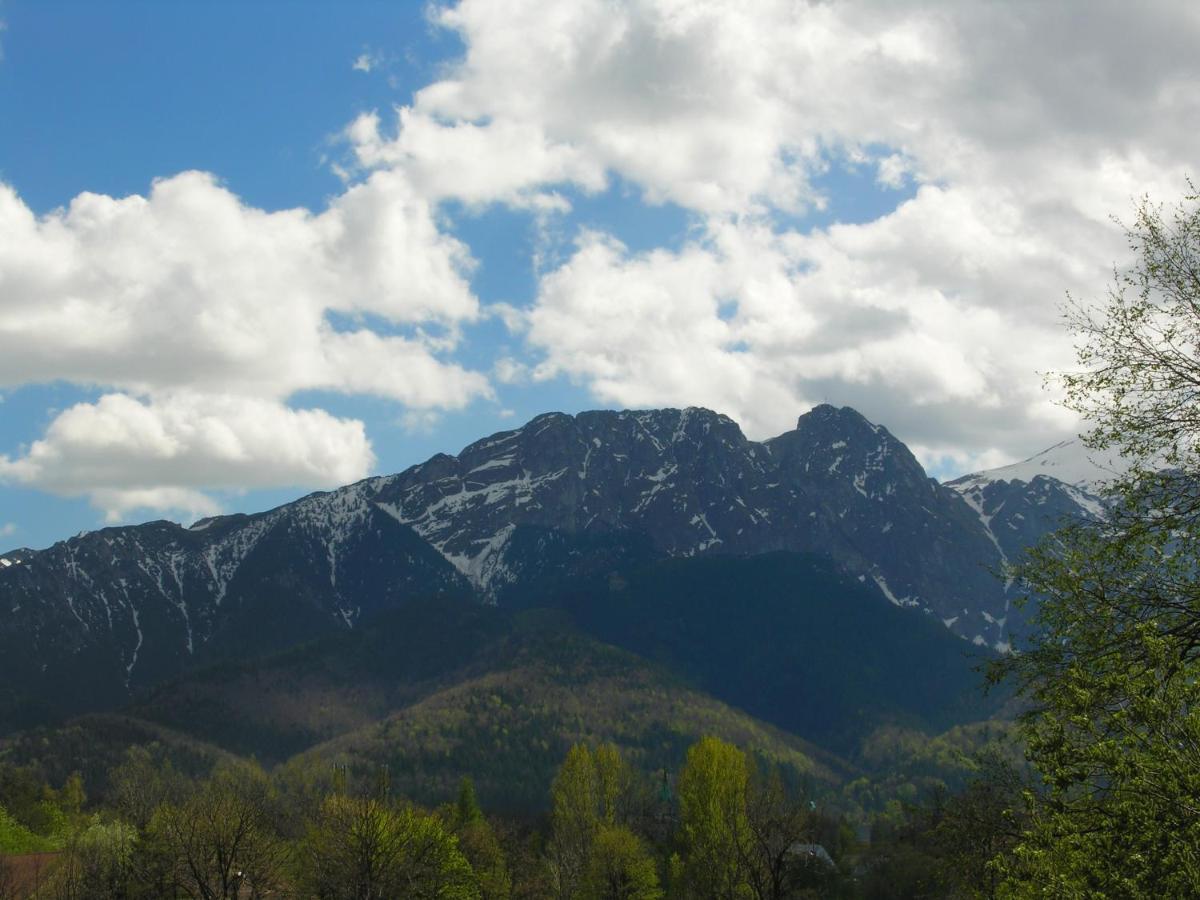Domki Mroz Zakopane Dış mekan fotoğraf