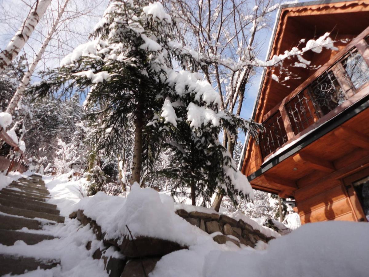 Domki Mroz Zakopane Dış mekan fotoğraf