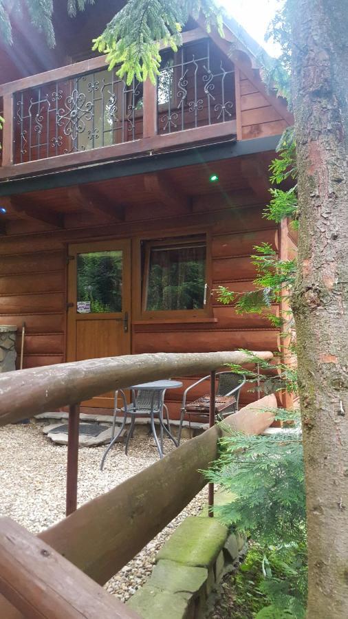 Domki Mroz Zakopane Dış mekan fotoğraf