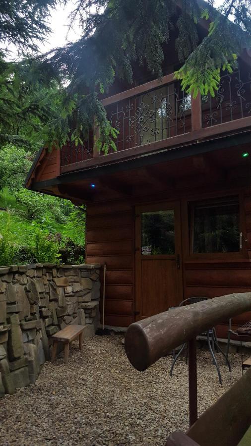Domki Mroz Zakopane Dış mekan fotoğraf