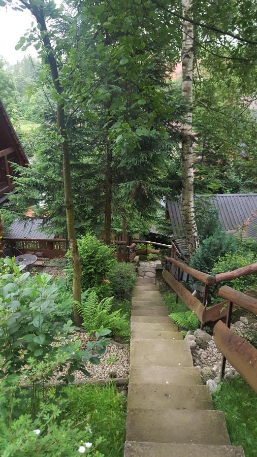 Domki Mroz Zakopane Dış mekan fotoğraf