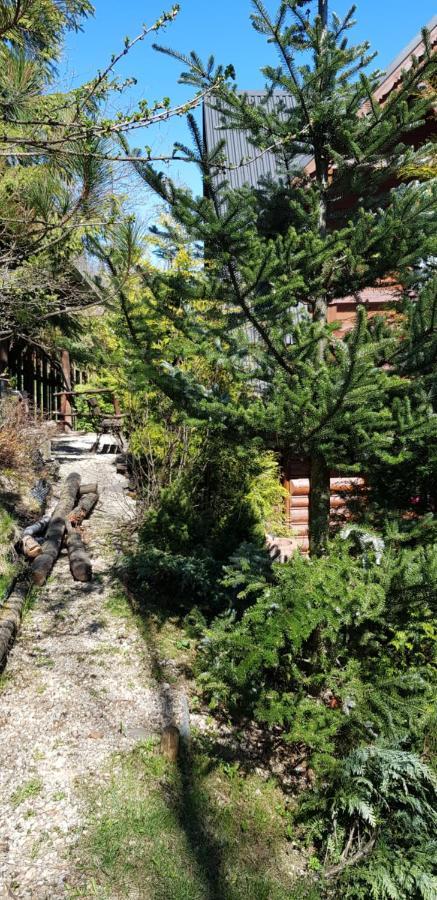 Domki Mroz Zakopane Dış mekan fotoğraf