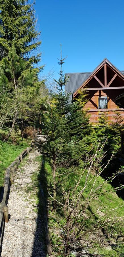 Domki Mroz Zakopane Dış mekan fotoğraf