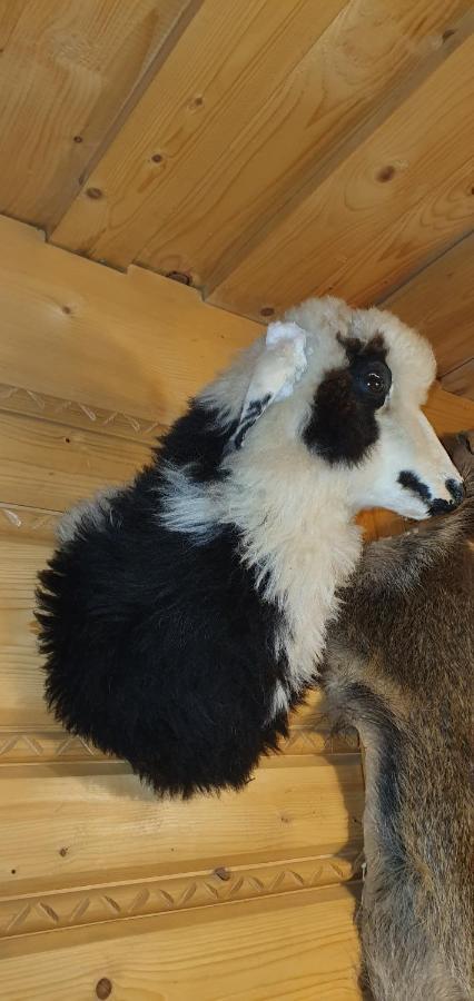 Domki Mroz Zakopane Dış mekan fotoğraf