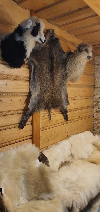 Domki Mroz Zakopane Dış mekan fotoğraf