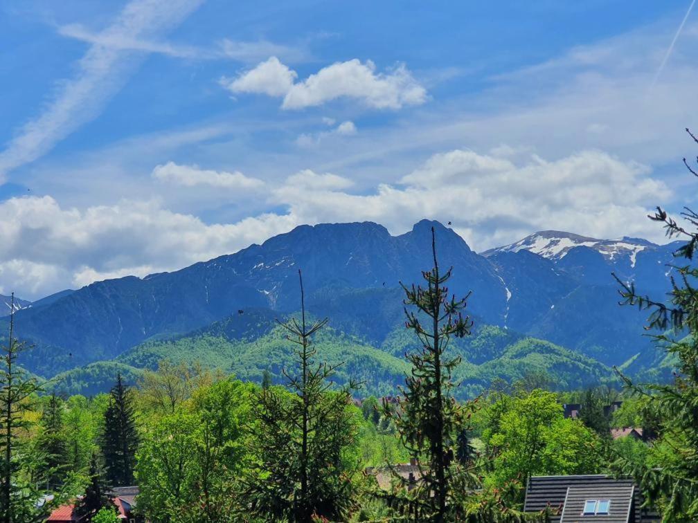 Domki Mroz Zakopane Dış mekan fotoğraf